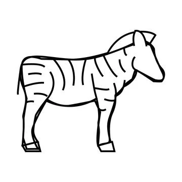 Zebra animal line icon vector illustration 스톡 일러스트