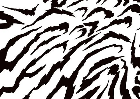 Zebra animal  pattern Stock Illustration