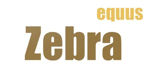 Zebra Animated Flat Wordcloud Isolated Stock Footage 99620241