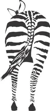 Zebra from behind Stock-Illustration