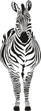 Zebra - black and zero Illustrazione stock