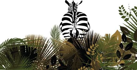 Zebra in the bush Stock Photos