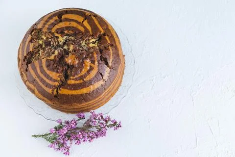 Zebra cake on white background. Copy space. Top view. Stock Photos