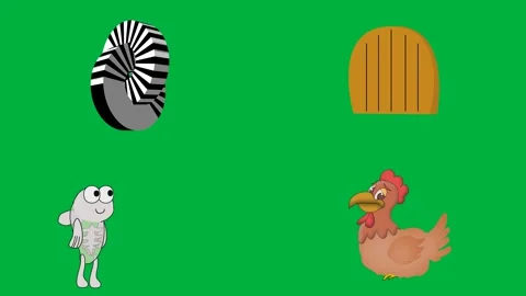 Zebra cat duck chicken Perfect for chroma key 4k and animal stock video Stock Footage 309641022
