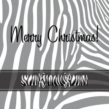 Zebra Christmas cracker card in vector format. Stock Illustration
