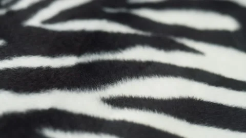Zebra cloth texture close-up. Black and white striped fabric, animal print Stock Footage 165222729