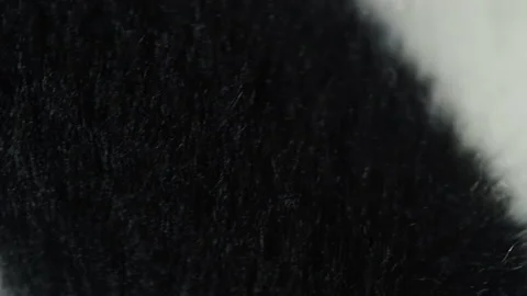 Zebra cloth texture close-up. Black and white striped fabric, animal print Stock Footage 165422183