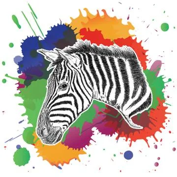 Zebra with Colorful Splashes Vector Illustration Illustrazione stock