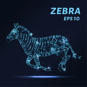 Zebra consists of points, lines and triangles. The polygon shape in the for.. Stock Illustration