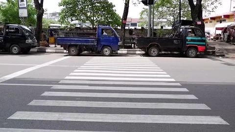 ZEBRA CROSS Video stock 145351464