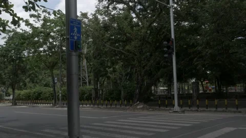 Zebra cross mark with crossing traffic light to cross the road safely Stock Footage 139381394