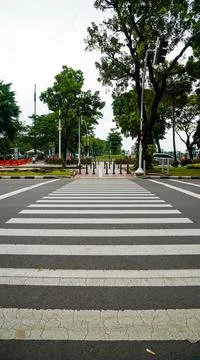 Zebra cross Stock Photos