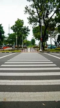 Zebra cross Stock Photos