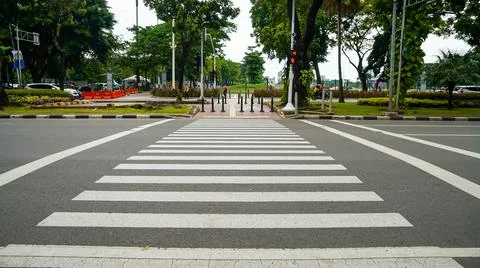 Zebra cross Stock Photos