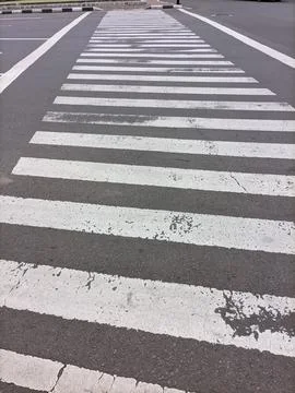 Zebra cross Stock Photos