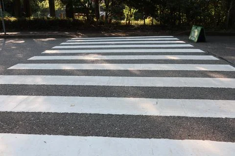 Zebra cross Stock Photos