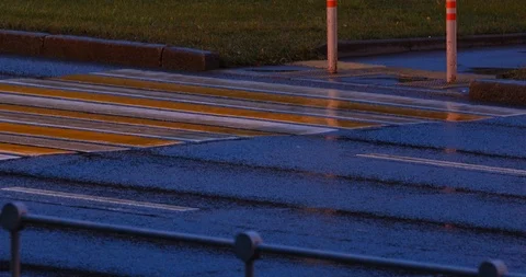 Zebra crossing in car headlights in the rain Stock Footage 113764510