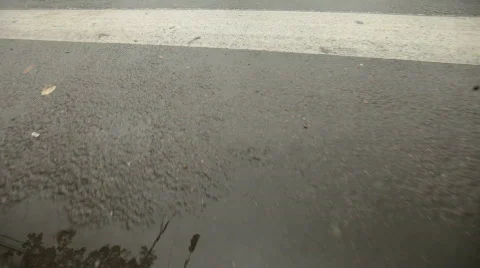 Zebra Crossing Stock Footage 784082