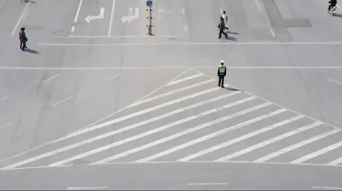 Zebra Crossing Stock Footage 906514