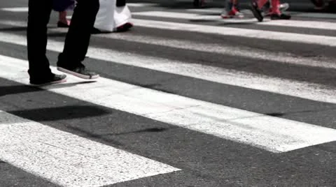 Zebra Crossing Stock Footage 11421912
