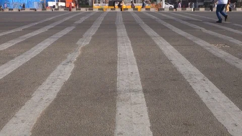 Zebra-Crossing-India-2 Stock Footage 83123803