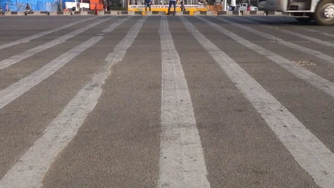 Zebra-Crossing-India Stock Footage 83123567