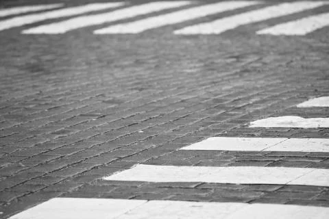 Zebra crossing 스톡 사진