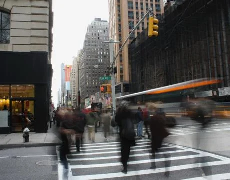 Zebra Crossing Stock Photos
