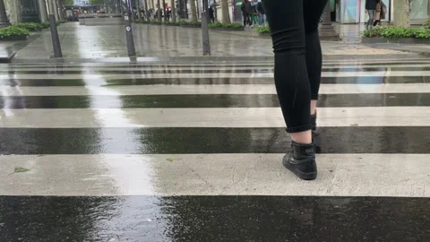 Zebra Crossing in Rain Stock Footage 241005453