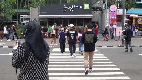 Zebra Crossing in SCBD Stock Footage 201409429
