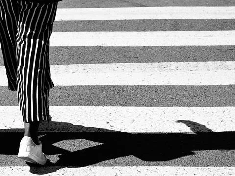 Zebra Crossing Stride 스톡 사진