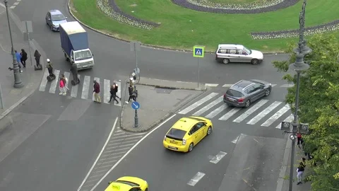 Zebra Crossing Time Lapse Stock Footage 99604809
