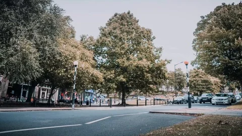 Zebra Crossing Timelapse Vídeo Stock 102781503