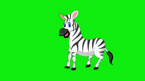 Zebra Dance Animation Video stock 325080719