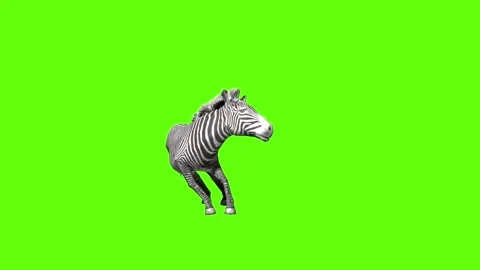 Zebra death green screen animation 3D rendering Stock Footage 297202127