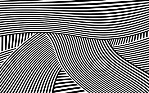 Zebra Design Black and White Stripes Vector Stock Illustration