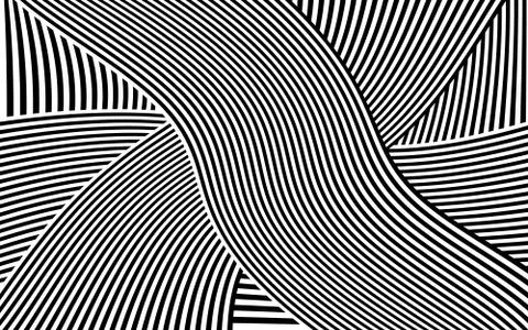 Zebra Design Black and White Stripes Vector 스톡 일러스트