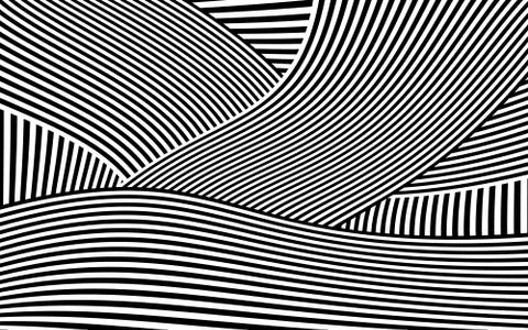 Zebra Design Black and White Stripes Vector 스톡 일러스트