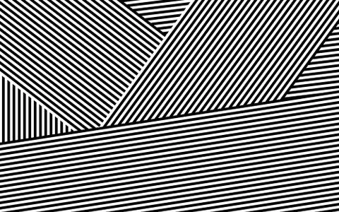 Zebra Design Black and White Stripes Vector 스톡 일러스트
