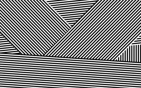 Zebra Design Black and White Stripes Vector Stock Illustration