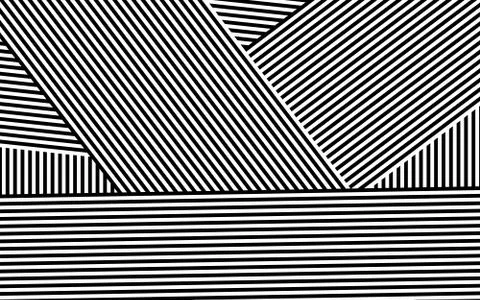 Zebra Design Black and White Stripes Vector 스톡 일러스트