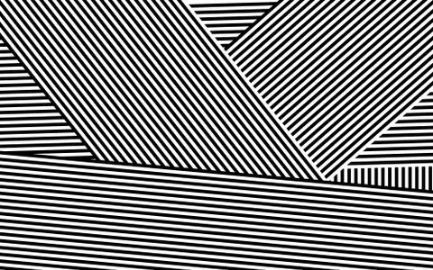 Zebra Design Black and White Stripes Vector Illustrazione stock