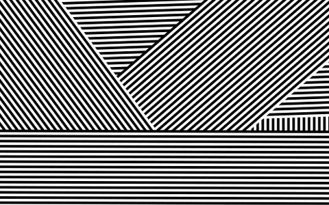 Zebra Design Black and White Stripes Vector Stock Illustration