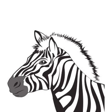 Zebra drawing icon Stock Illustration