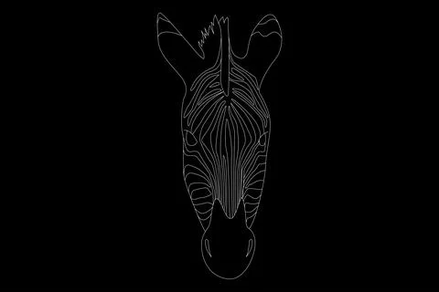 Zebra drawing. Zebra head full face. Simple linear drawing of a zebra. Wild a Stock Illustration