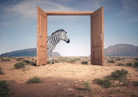 Zebra enters opened door. The concept of opportunities. Illustrazione stock