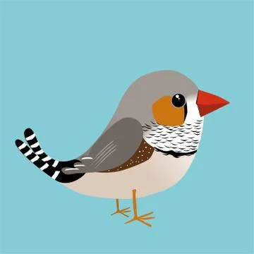 Zebra finch vector Illustrazione stock