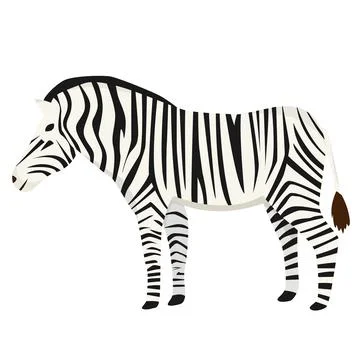 Zebra in flat style isolated on white background Stock Illustration