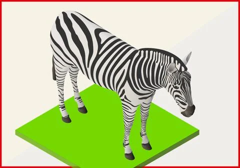 Zebra flat vector isometric 3d Zebra isometric flat vector. Animal 3d illu... Stock Photos