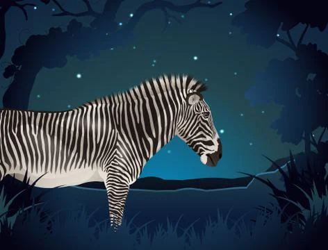 Zebra in the forest at night Illustrazione stock